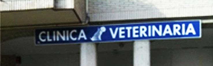 Clinica veterinaria Pamplona